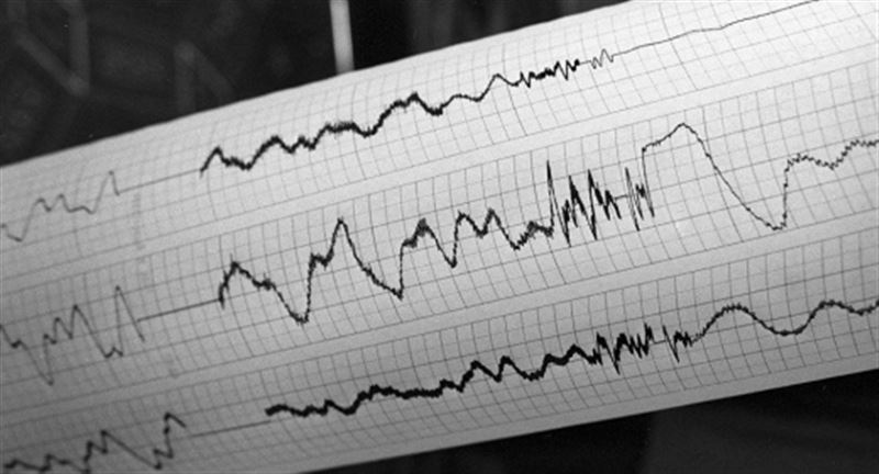 Алматыдан 133 шақырым жерде 4,1 магнитудалы жер сілкінісі болды