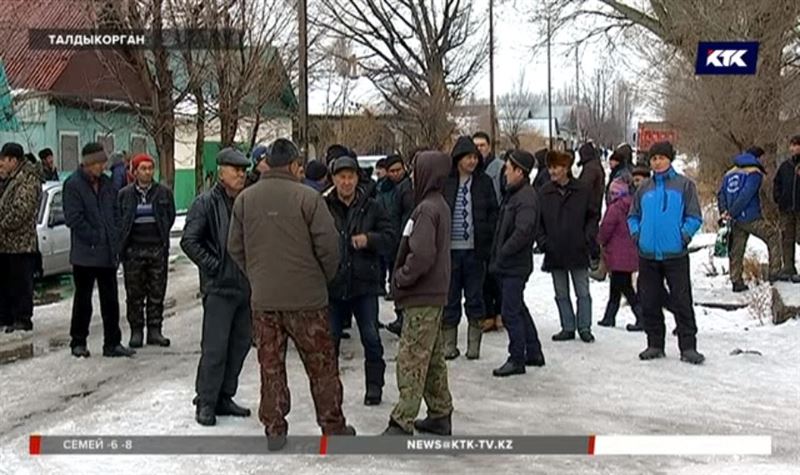 Бесстрашные домушники пугают жителей села Енбек