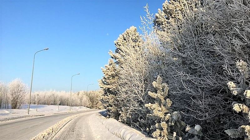 Прогноз погоды по Казахстану на вторник, 12 февраля