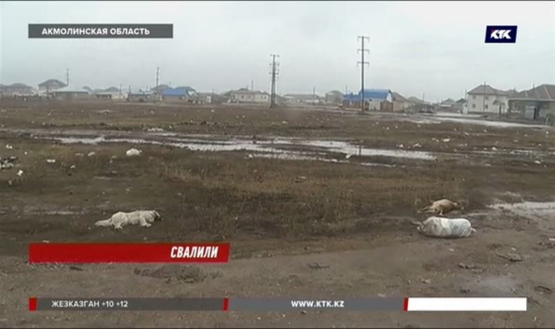 Село под Нур-Султаном завалено мусором и собачьими трупами