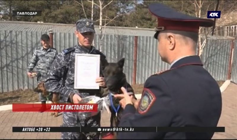 Полицейских с хвостами наградили в Павлодаре