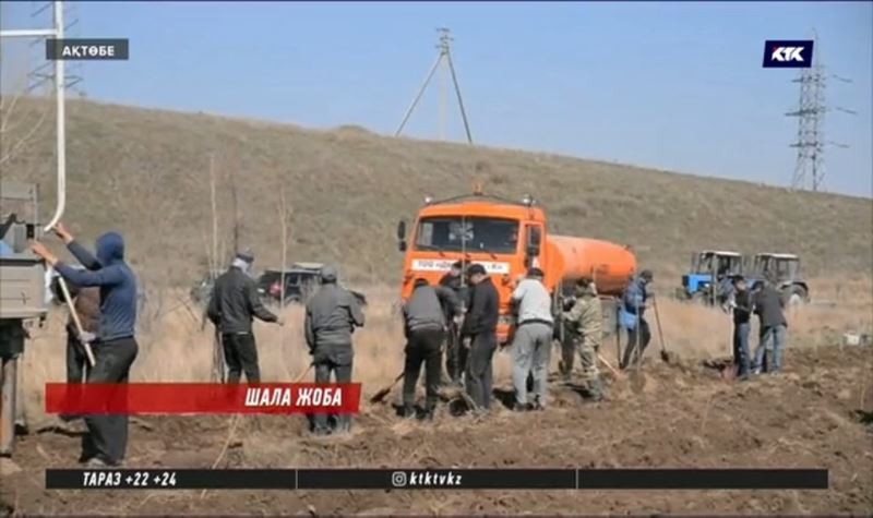 Ақтөбеде шенеуніктер өздері шауып тастаған өзен бойына қайта шыбық отырғызып жатыр