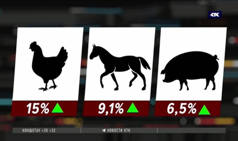 Экспорт казахстанского мяса отражается на его цене, считают предприниматели
