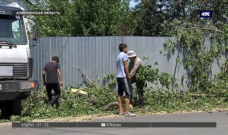 Погиб водитель машины, на которую упало поваленное ураганом дерево