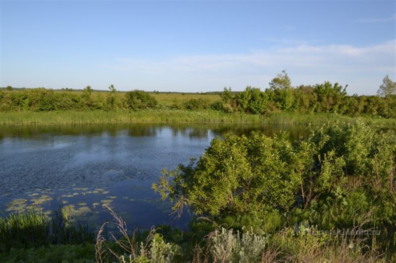 Учёные предупредили об опасности купания в теплых водоемах 