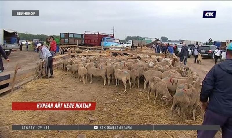 Құрбан айт кезінде мал сатқанда пайдакүнемдікке салынбау керек