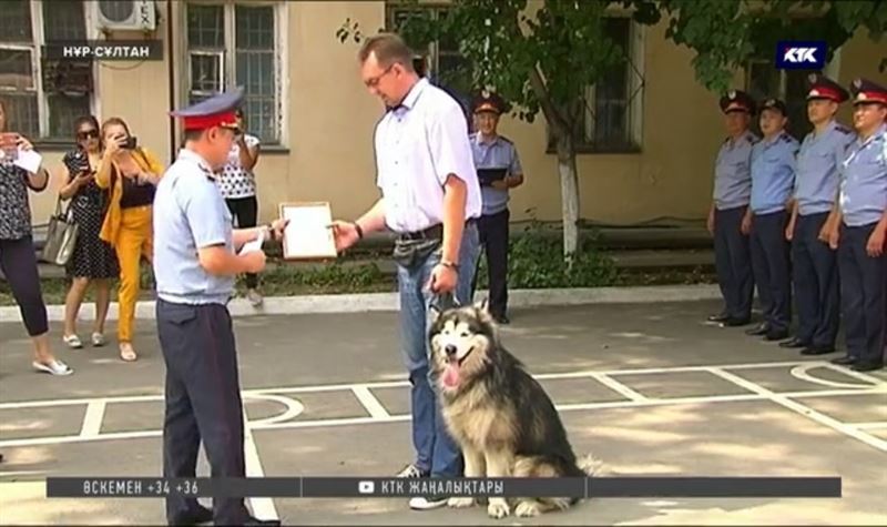 Нұр-Сұлтанда иесімен бірге зорлықшыны ұстаған ит марапатталды