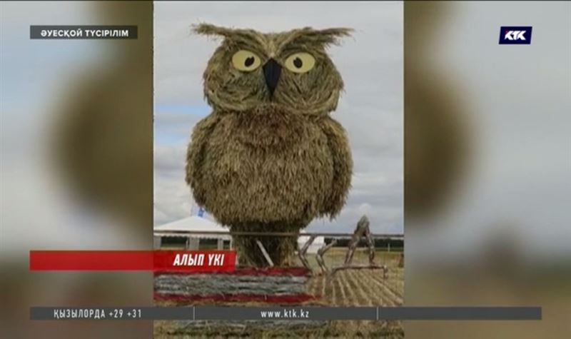 Алматылық тиінге жауап. Ақмола облысының Научный ауылында алып үкі пайда болды