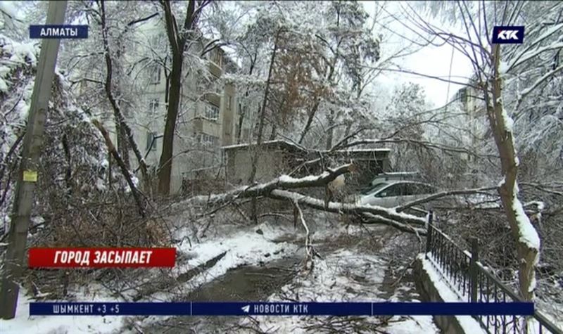 Оставайтесь дома: алматинцев предупредили о новом сильном снегопаде