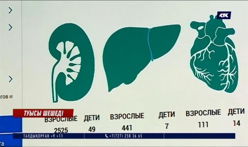 Өлімнен кейін донорлық қалай жүзеге асырылады?