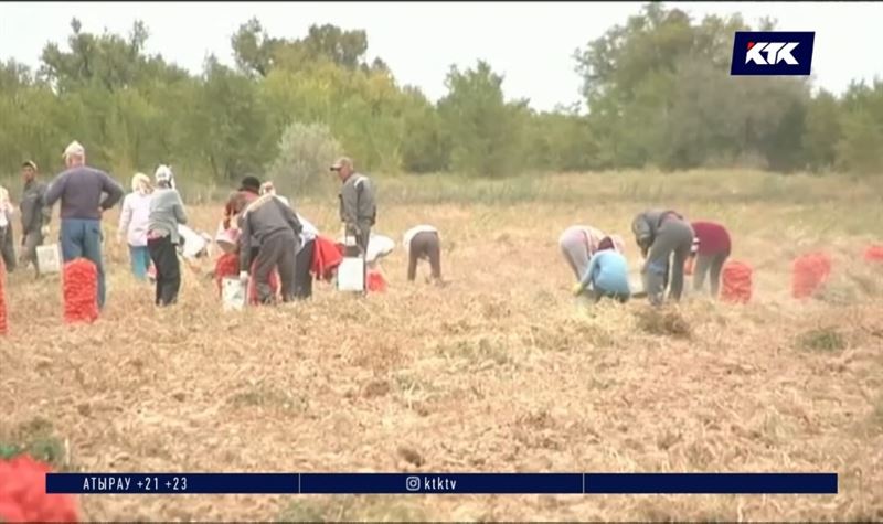 Дариға Назарбаева Түркістан облысында дағдарып қалған диқандардың мәселесін көтерді