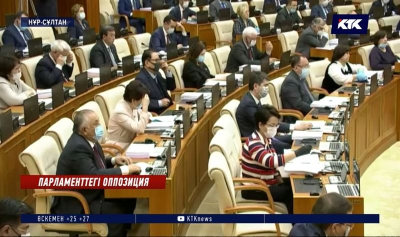 Парламенттік оппозиция демократияға жасалған қадам ба?