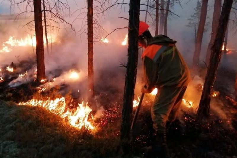 13 мың гектар аумақта орман өртеніп жатыр