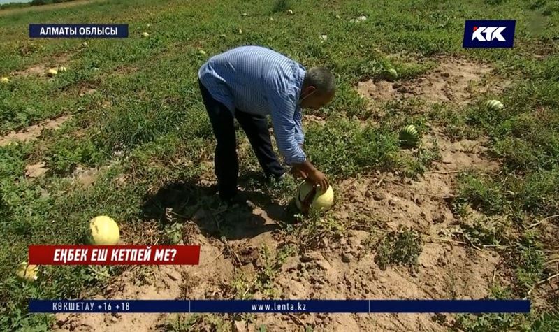 Алматыда шаруалар жәрмеңкедегі табысынан қағылып отыр