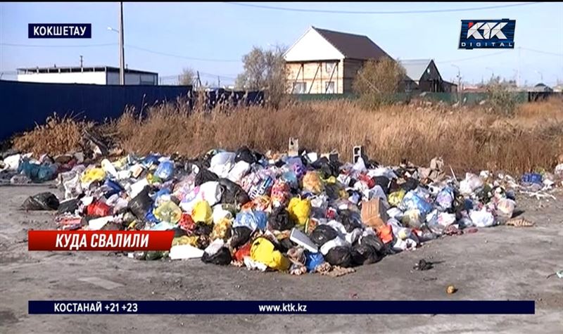 8 тысяч жителей в Кокшетау остались без мусорных урн и завалили район отходами