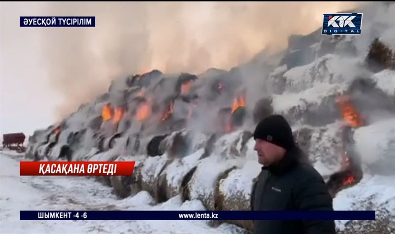 280 тонна шөп жанып кетті  