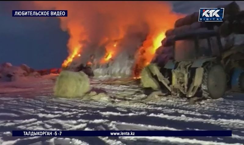 Сено для малоимущих сожгли в Акмолинской области