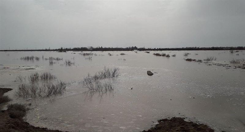 Байқоңырда жүздеген адам жоғалған баланы іздеп жатыр