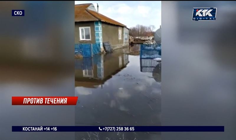 Жители затопленного села в СКО потеряли основной заработок