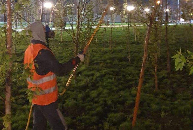 В Алматы обрабатывают зеленые насаждения от вредителей