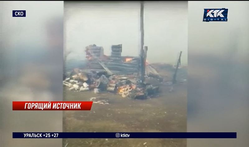 В селе СКО при пожаре погиб весь домашний скот