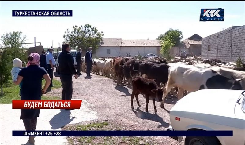 Жители четырех аулов пригнали скот к районному акимату