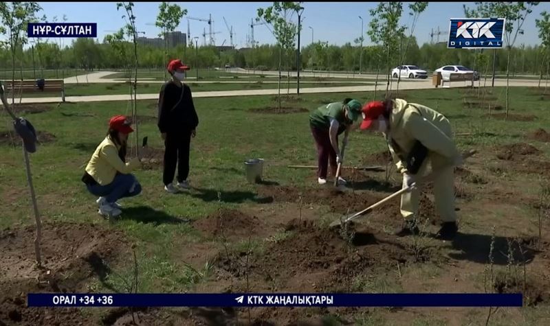 Қайырымдылық керуені: Елордада 100 түп шырғанақ отырғызылды