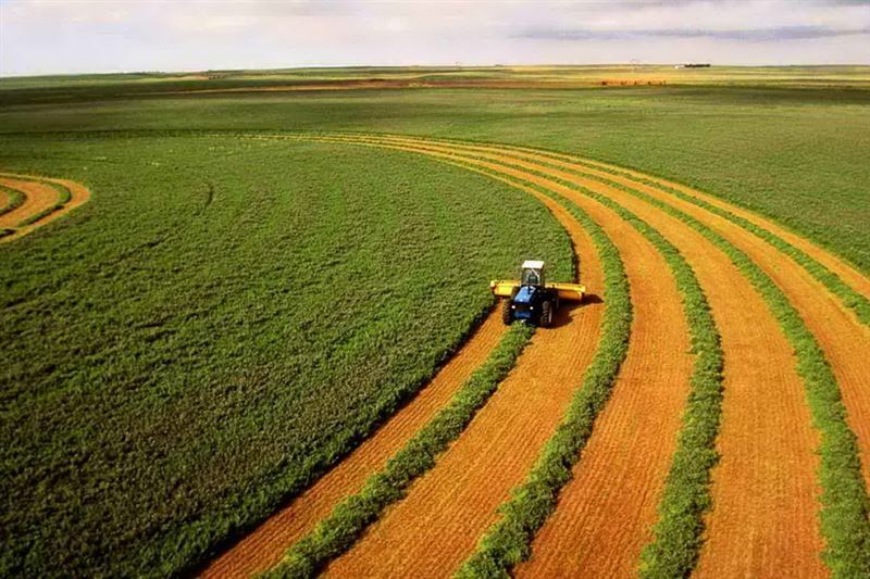 Глава государства продлил запрет на продажу сельхозземель