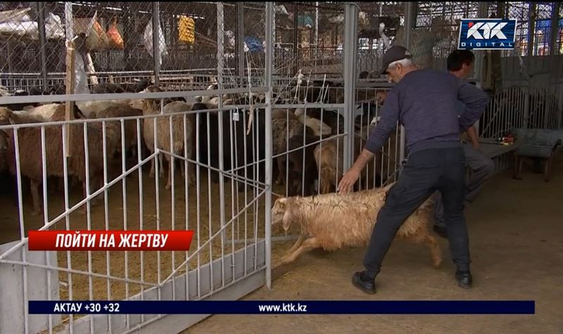 Санпосты и дорогое мясо: мусульмане готовятся к празднику Курбан айт