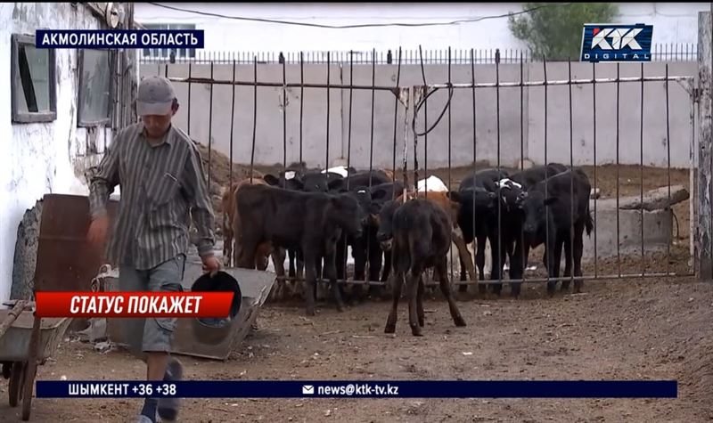 «В первую очередь изменится бюджет»: Косшы стал городом областного значения