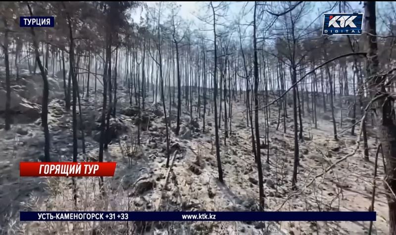 Террористы взяли на себя ответственность за лесные пожары в Турции