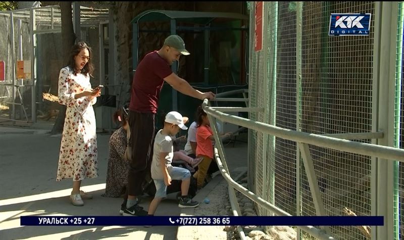 Полчища тараканов испугали посетителей Алматинского зоопарка