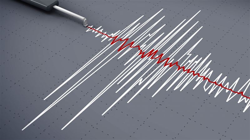 В Алматинской области произошло землетрясение  