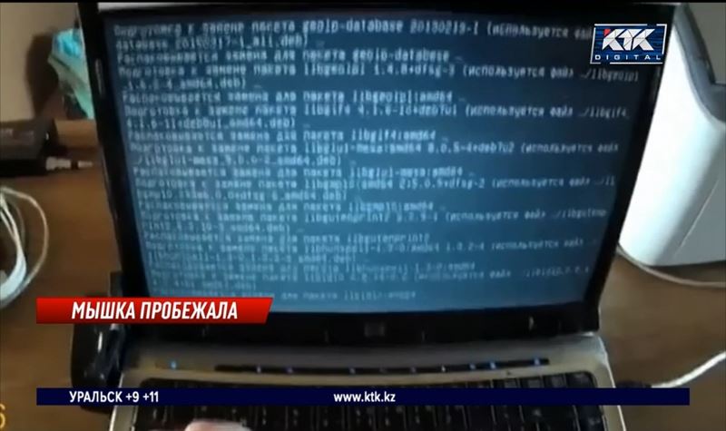 Хакеры могли получить доступ к оценкам казахстанских студентов