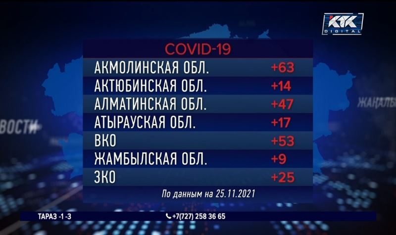 За сутки от пневмонии не умер ни один казахстанец