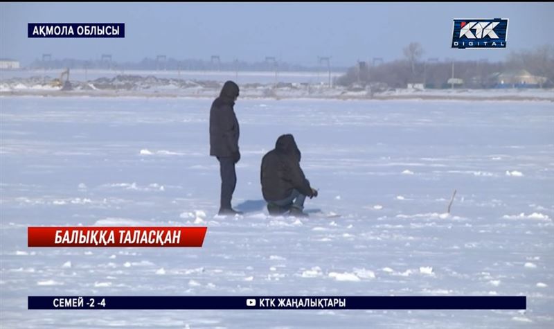 Шортандыда ірі шортанмен фотоға түсуге таласқан балықшылар ауруханаға түсті