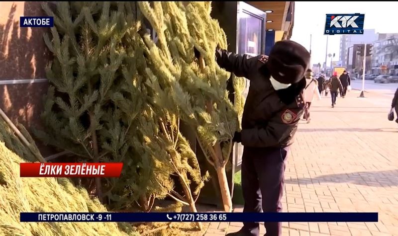 В Актобе к Новому году можно купить только российские елки