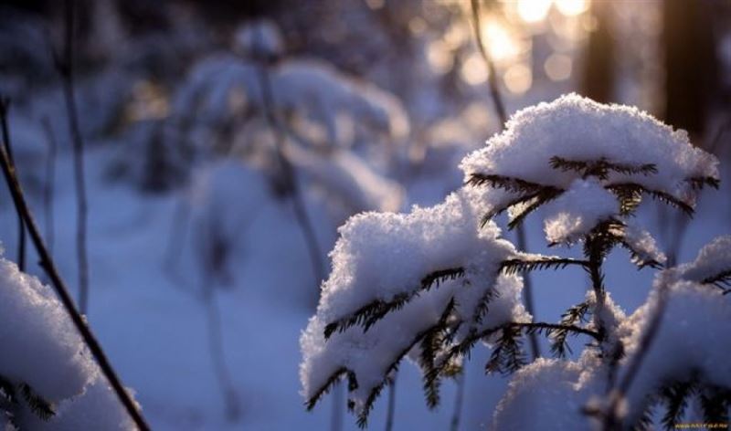 Синоптики предоставили прогноз погоды на 16 февраля