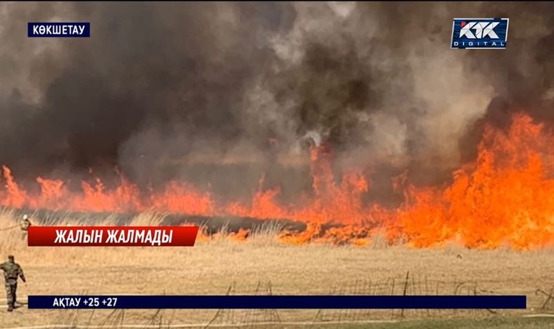 Көкшетаудың маңында қамысты бес гектар жер өртеніп кетті