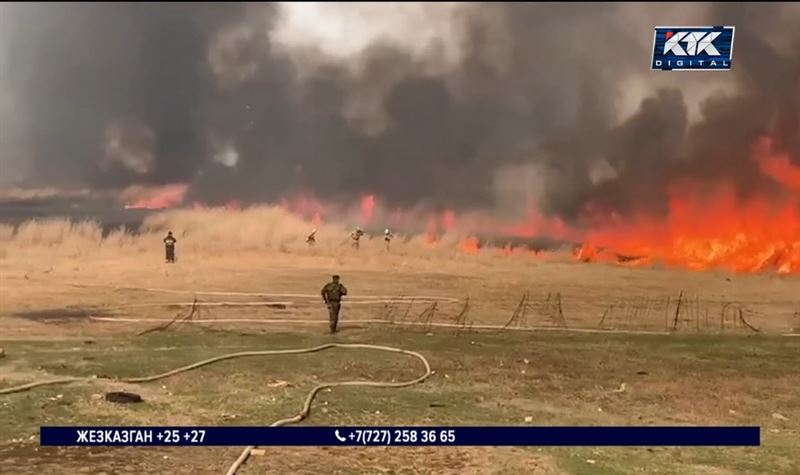 80 спасателей тушили крупный пожар близ Кокшетау
