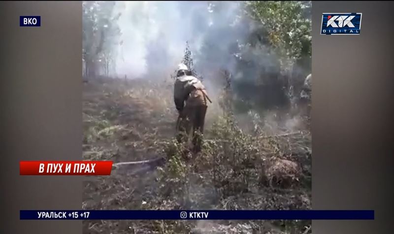 Число пожаров из-за поджигания тополиного пуха выросло в 4 раза