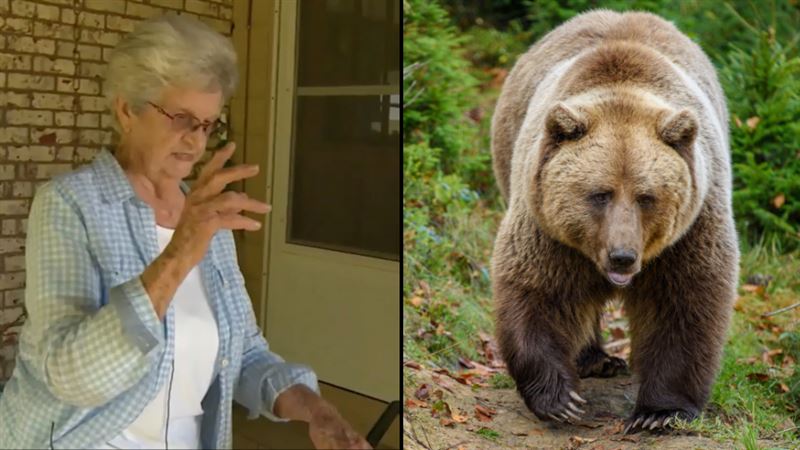 90-летняя женщина отбилась от медведя при помощи стула