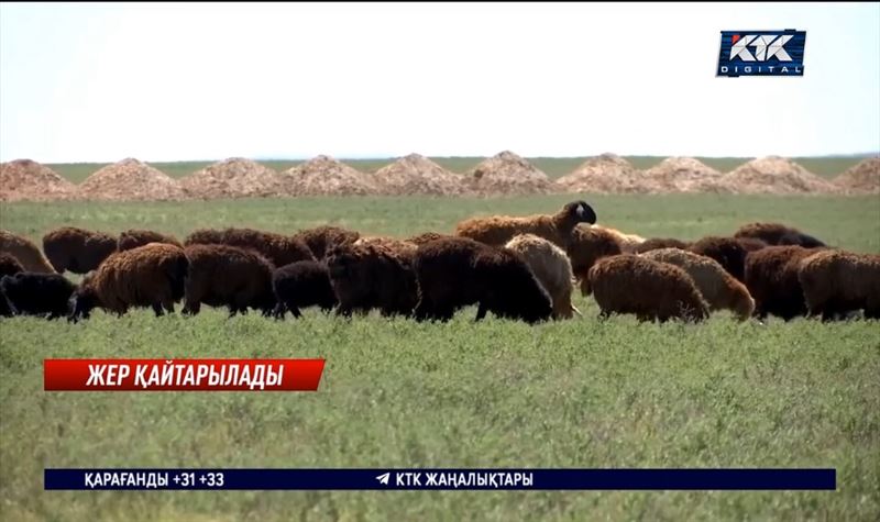 Елімізде миллиондаған гектар жайылымдық жер заңсыз берілген