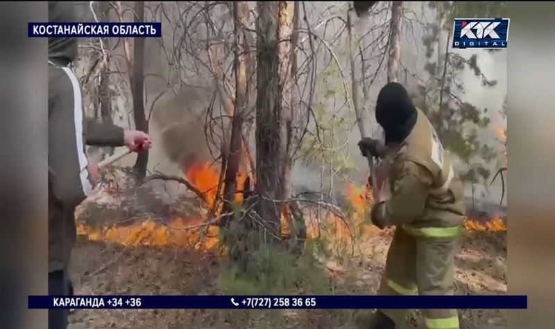 Ветер усиливал огонь костанайского пожара и гнал его на дома