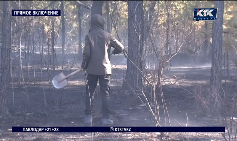 По фактам пожаров в Костанайской области заведено два уголовных дела