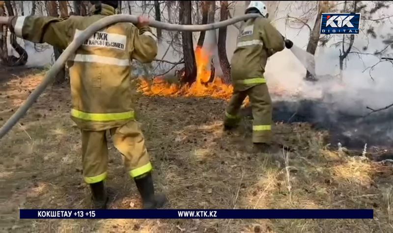 Сотни животных погибли при пожаре в Костанайской области