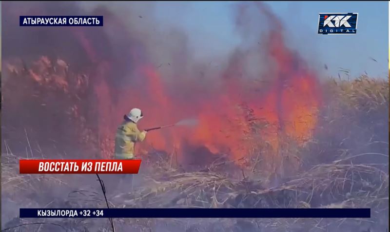 Справиться с пожаром в Атырауской области пока не удается