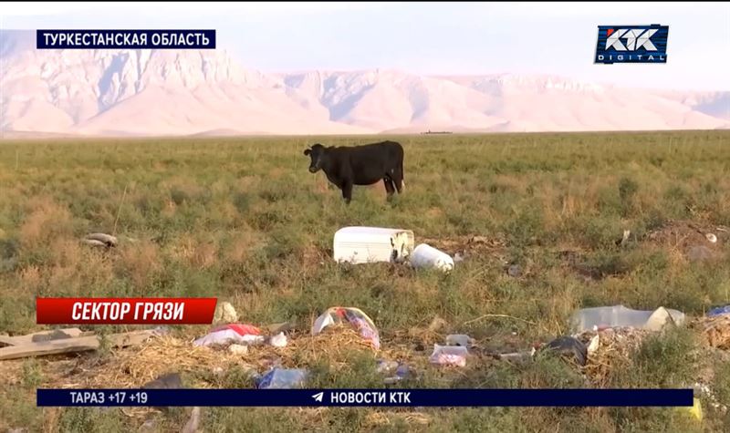 Стихийная свалка губит скот и отравляет жизнь людей в Туркестанской области