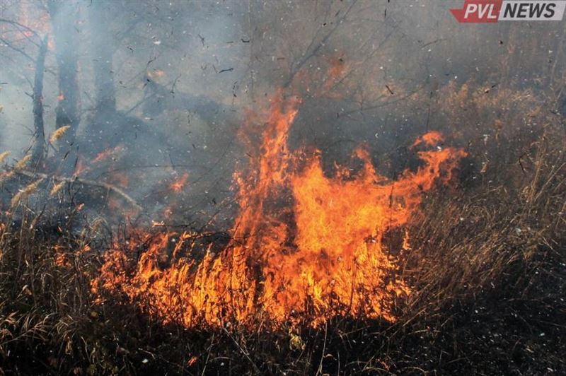 Степной пожар вспыхнул в сельской зоне Аксу