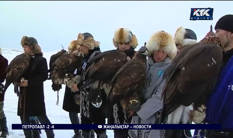 ШҚО: Ұлан ауданында құсбегілер чемпионаты өтті 